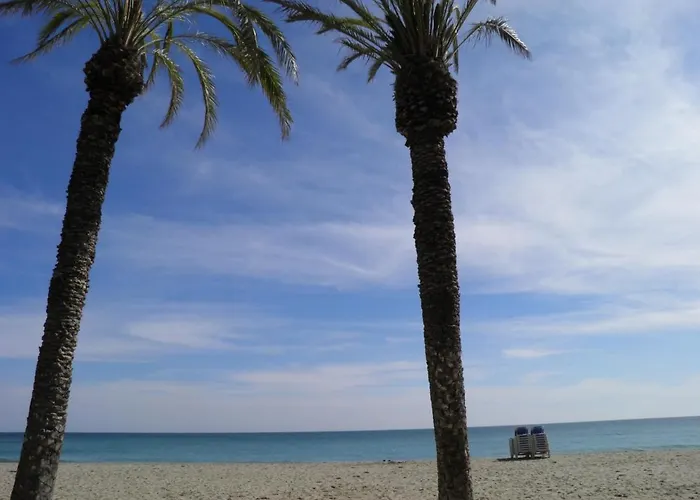 Suitur Milenium Apartamento Marbella Playa Venus